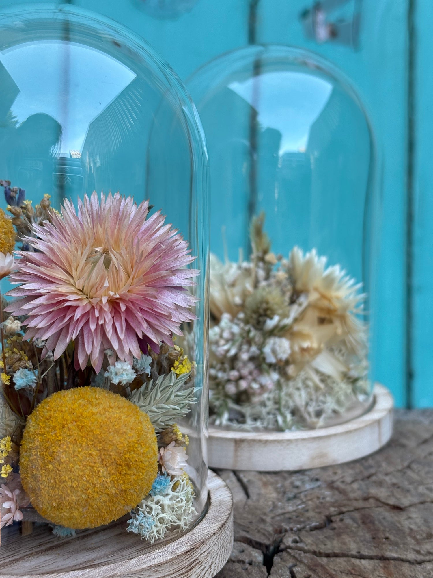 Cloches de fleurs séchées