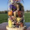 IMG_2693 Cloche fleurie ronde "Avel"