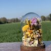 IMG_2660 Cloche fleurie ronde "Maïna"